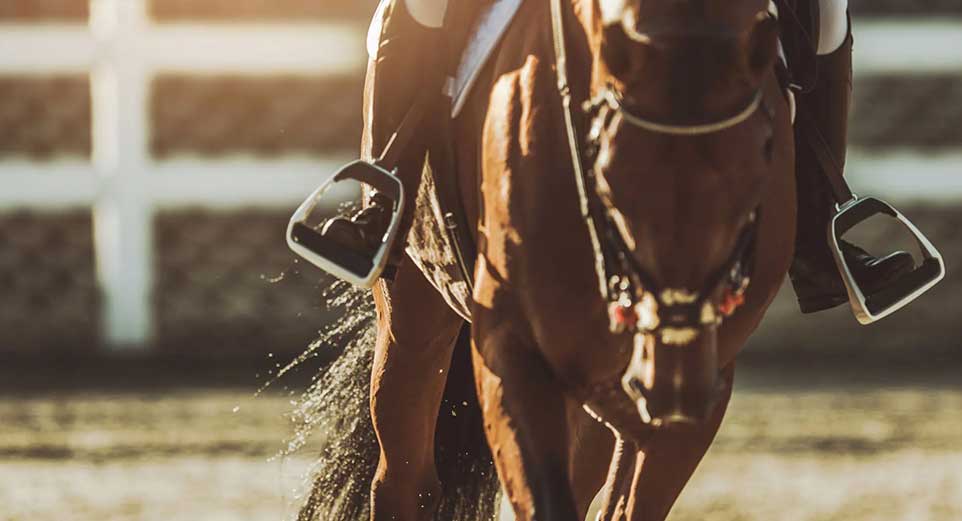 Horse Riding- North West Surf School Enniscrone